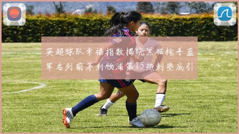 英超球队幸福指数揭晓黑猫枪手蓝军名列前茅利物浦第15热刺垫底引关注