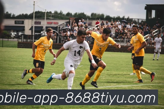 8868体育品牌故事