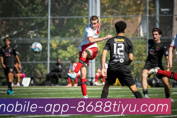 8868体育服务体系